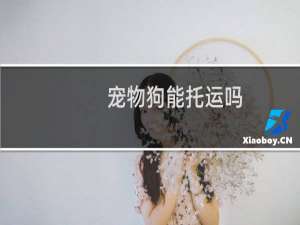 宠物狗能托运吗