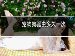 宠物狗驱虫多久一次