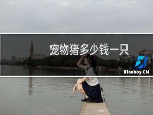 宠物猪多少钱一只