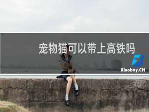 宠物猫可以带上高铁吗