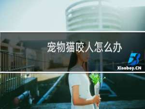 宠物猫咬人怎么办