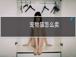 宠物猫怎么卖