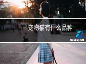 宠物猫有什么品种