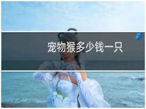 宠物猴多少钱一只