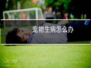 宠物生病怎么办