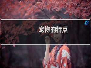 宠物的特点