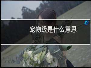 宠物级是什么意思