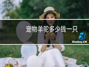 宠物羊驼多少钱一只