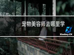 宠物美容师去哪里学