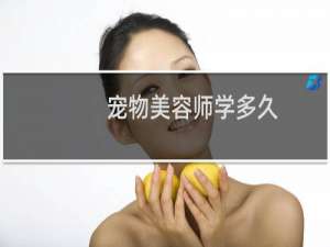 宠物美容师学多久