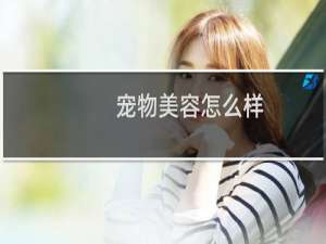 宠物美容怎么样