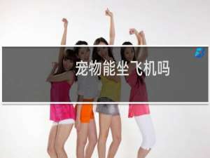宠物能坐飞机吗