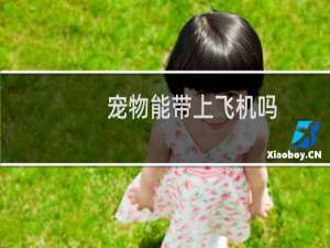 宠物能带上飞机吗