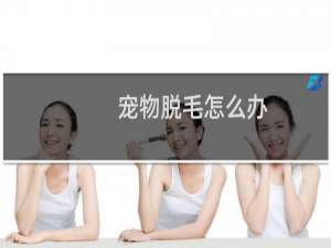 宠物脱毛怎么办