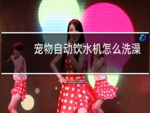 宠物自动饮水机怎么洗澡