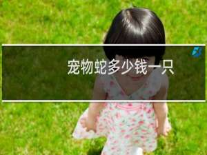 宠物蛇多少钱一只