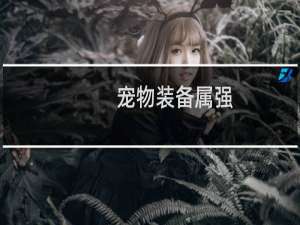宠物装备属强