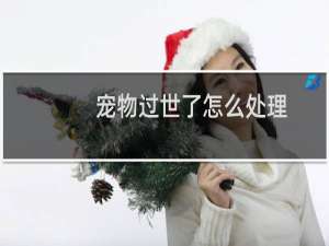 宠物过世了怎么处理