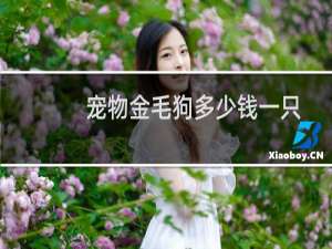 宠物金毛狗多少钱一只