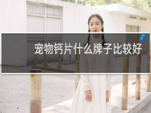 宠物钙片什么牌子比较好