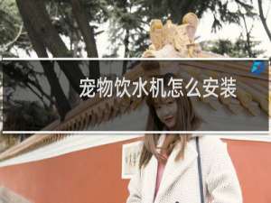 宠物饮水机怎么安装