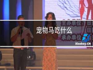 宠物马吃什么