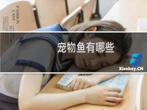 宠物鱼有哪些