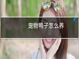 宠物鸭子怎么养