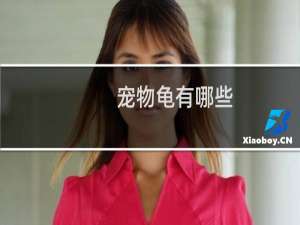 宠物龟有哪些
