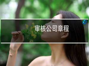 审核公司章程