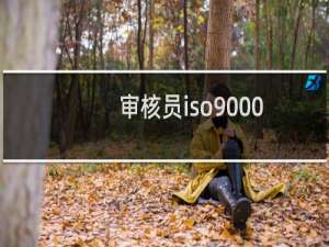 审核员iso9000