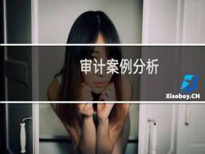 审计案例分析