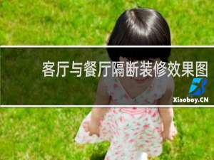 客厅与餐厅隔断装修效果图