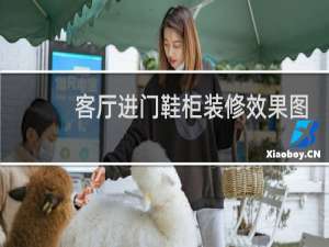 客厅进门鞋柜装修效果图