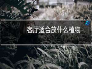 客厅适合放什么植物