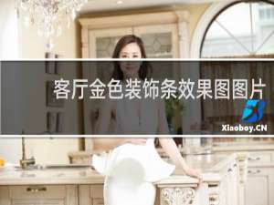 客厅金色装饰条效果图图片
