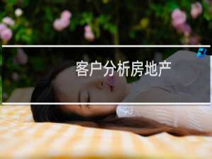 客户分析房地产