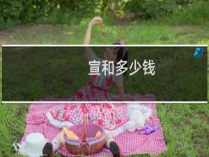 宣和多少钱