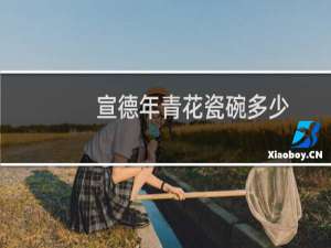 宣德年青花瓷碗多少