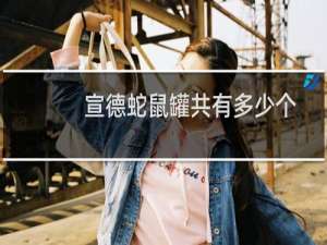 宣德蛇鼠罐共有多少个