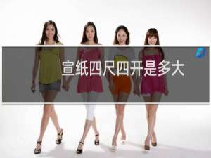 宣纸四尺四开是多大（宣纸四尺是多大）