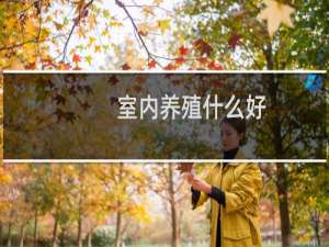 室内养殖什么好