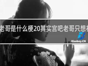 宫吧老哥是什么梗 其实宫吧老哥只想社保什么梗