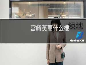 宫崎英高什么梗