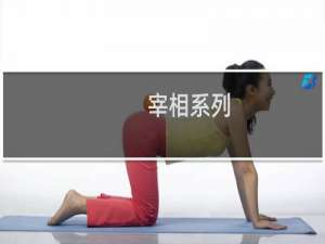 宰相系列：在罪人和伟人之间游走的拗相公