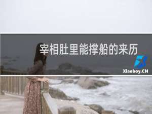 宰相肚里能撑船的来历