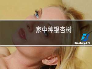家中种银杏树