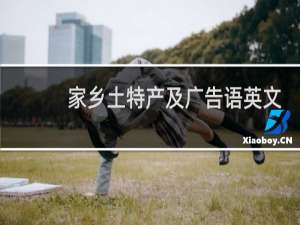 家乡土特产及广告语英文