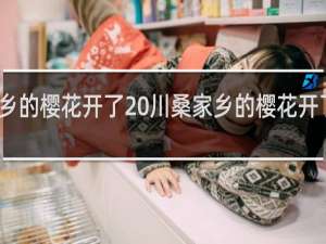 家乡的樱花开了 川桑家乡的樱花开了什么梗