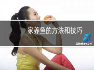 家养鱼的方法和技巧